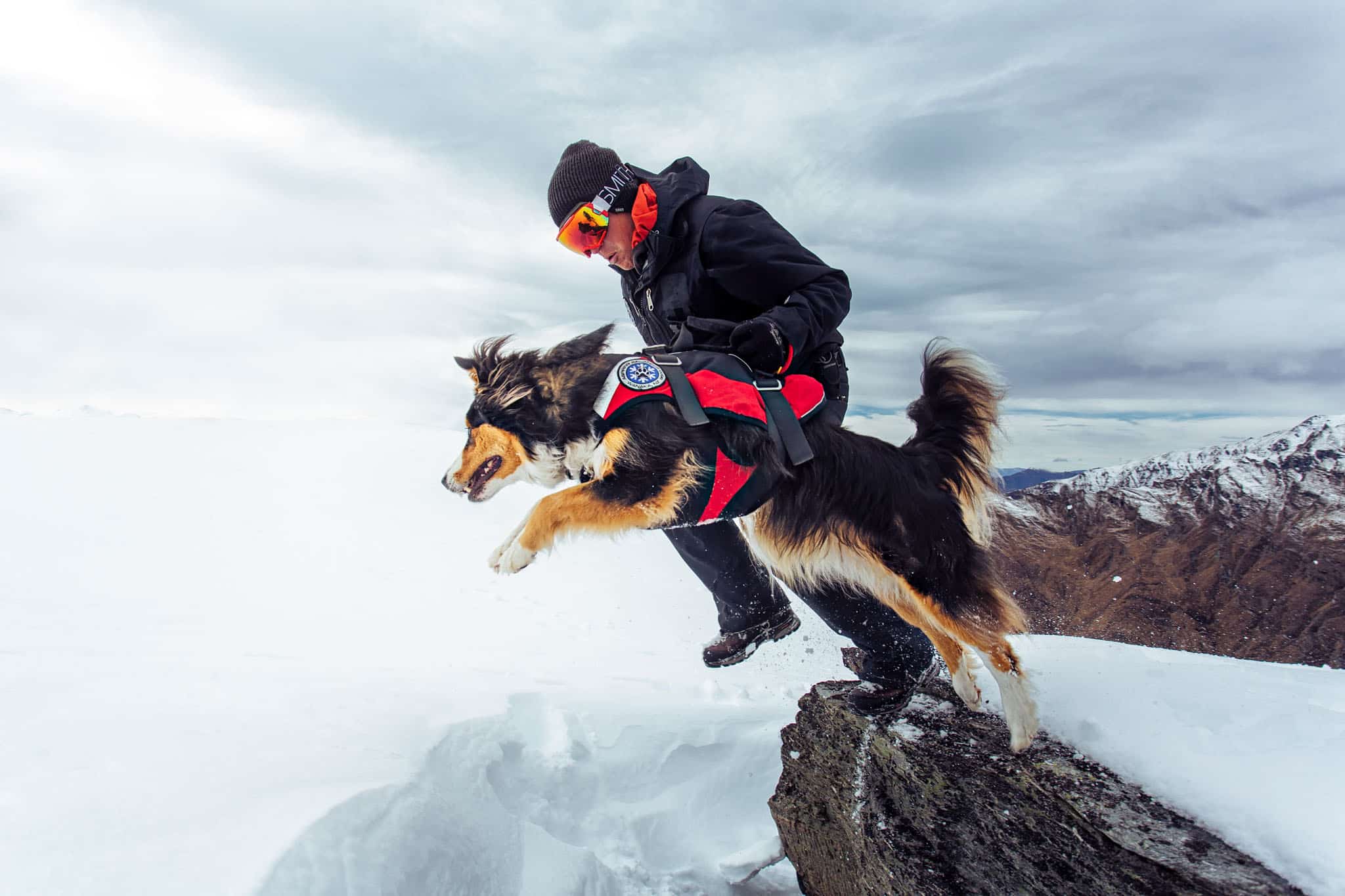 Commercial shoot of Aspiring Search and Rescue dogs in Wanaka