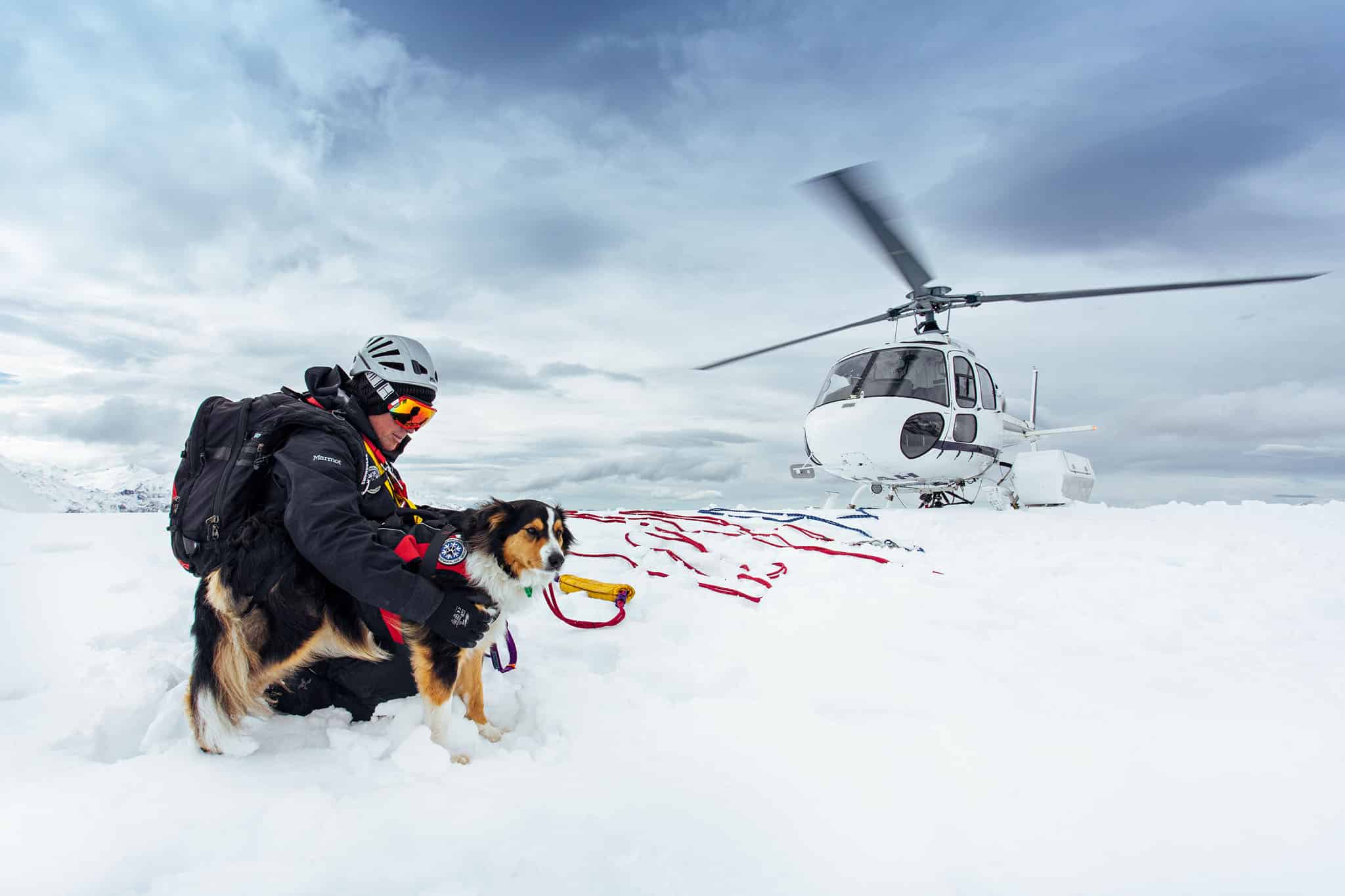 Commercial shoot of Aspiring Search and Rescue dogs in Wanaka