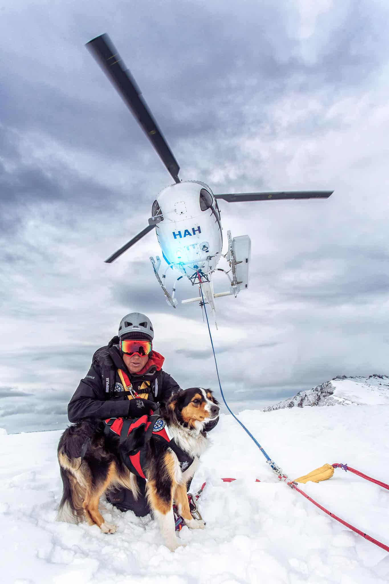 Commercial shoot of Aspiring Search and Rescue dogs in Wanaka